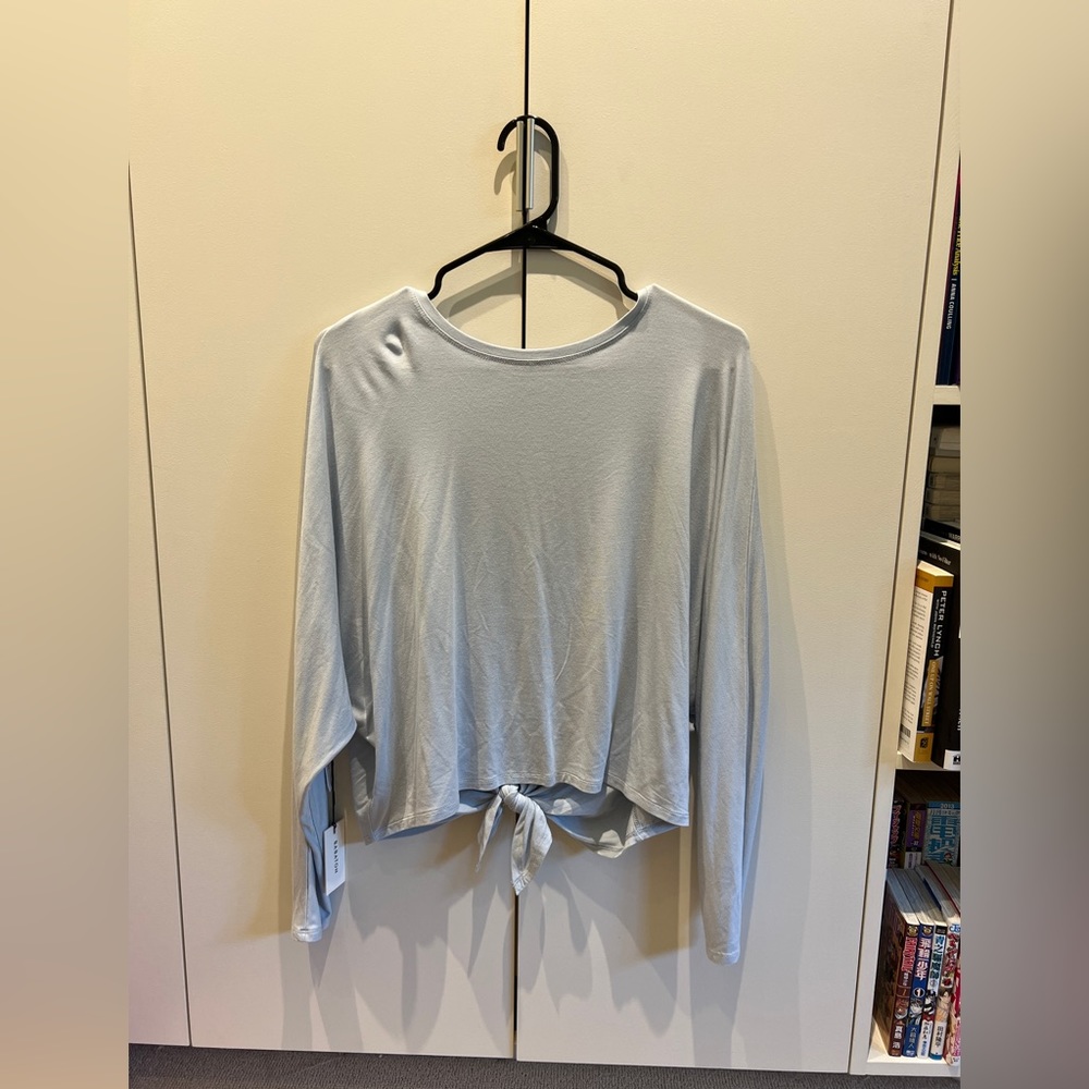 Aritzia Babaton Small Blue Blouse with Back Slit (NWT)